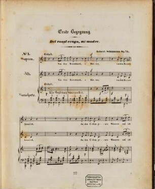 Spanisches Liederspiel : ein Cyclus von Gesängen aus d. Spanischen ; für 1 & mehrere Singstimmen (Sopran, Alt, Tenor & Baß) mit Begl. d. Pianoforte ; op. 74
