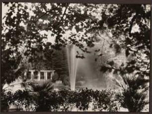 Fotoalbum: Deutsche Gartenbau- und Schlesische Gewerbe-Ausstellung (GUGALI), Liegnitz: Springbrunnen-Fontäne im Palmenhain