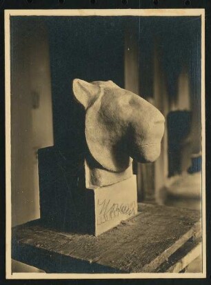 Fotografien: Skulptur Löwe