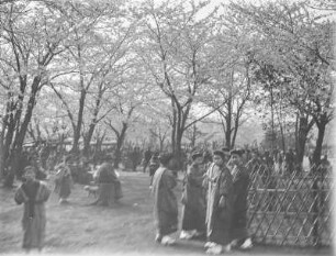 Hanami : Männer und Frauen unter blühenden Kirschbäumen