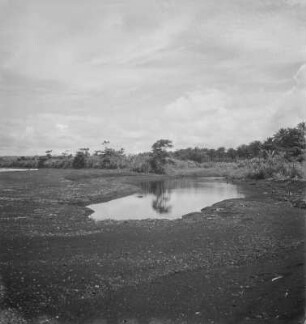 Lagune : Lagune am Rande einer Plantage
