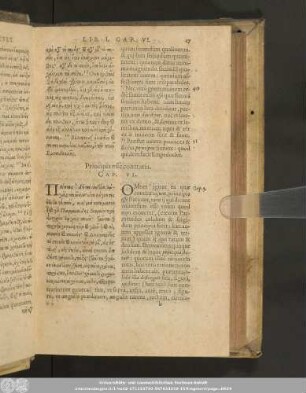 Principia esse contraria. Cap. VI.