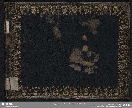 10 Arias - Mus.2973-F-33 : S, orch, bc