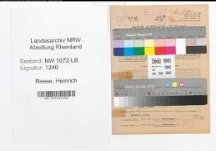 Entnazifizierung Heinrich Reese , geb. 23.12.1899 (Beamter)