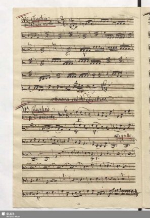 713. Cavatina: La mia amorosa hà un volto / Naumann, J.G.