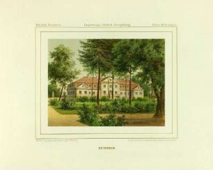 Geisseln