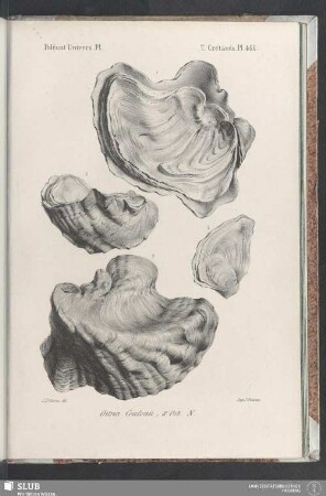 Pl. 466
