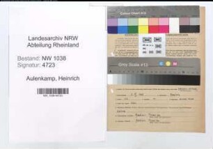 Entnazifizierung Heinrich Aulenkamp , geb. 05.07.1905 (Vermessungsbeamter)
