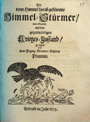 Die vom Himmel herabgestürmte Himmel-Stürmer