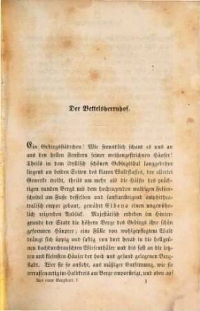 Aus einer Bergstadt : Roman, 1