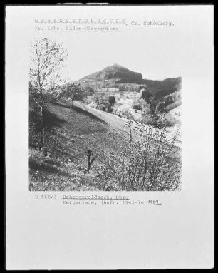 Burgruine Hohengeroldseck