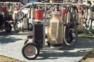Fotografie: Melkmaschine, Melktechnik, Weidemelken