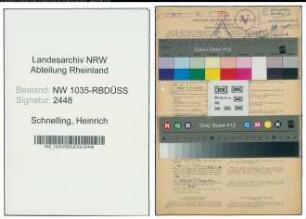 Entnazifizierung Heinrich Schnelling , geb. 17.11.1890 (Bergbeamter)