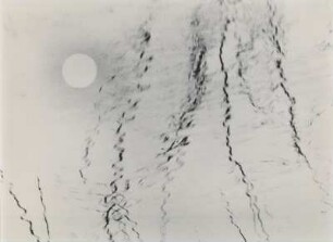 Grafische Reflexion von Schilf und Sonne