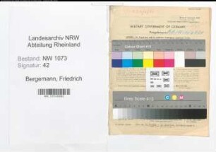 Entnazifizierung Friedrich Bergemann , geb. 23.09.1893 (Amtsgerichtsrat)