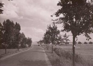 Lampertswalde, asphaltierte Landstraße