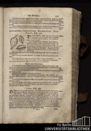 Cap. 388. Cardamoemlein, Cardamomum. Paradiß-Koerner, Grana Paradisi.
