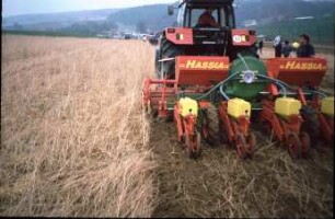 Fotografie: Säverfahren, Einzelkornsaat, Mais, Mulchsaat, Zwischenfrucht