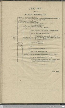 Tab. XVII. De Osse innominato