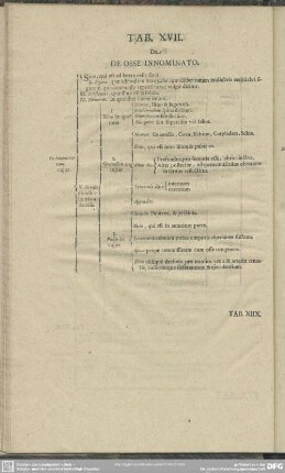 Tab. XVII. De Osse innominato