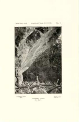 Plate Y. North-central province. Marakkala Ulpota. Cave No. 7.