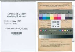 Entnazifizierung Gustav Hammerschmidt , geb. 21.01.1905 (Zollsekretaer)