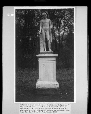 Figurenhalbrondell — Antinous als Merkur