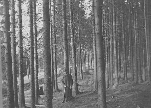 Albumseite : Erinnerungsalbum von W. Gärtner. Sächsische Schweiz u. Erzgebirge (1908-1913)