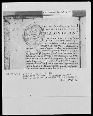 Gregorius Magnus