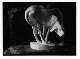 Sich niederlegender Hund : Sich niederlegender Hund. Gips (vor 1945)