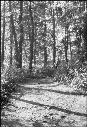 Marienwerder, Klosterwald