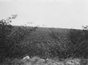 Buschlandschaft : Landschaft mit Buschvegetation in Tansania.