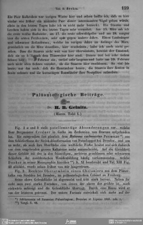Paläontologische Beiträge. (Hierzu Tafel I.)