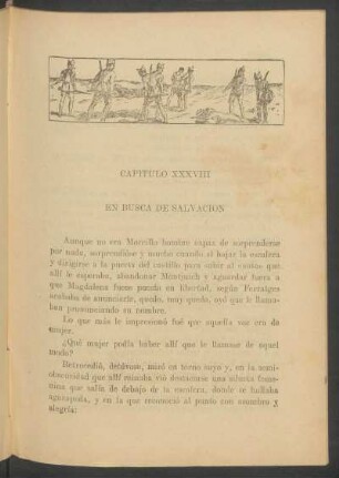 Capítulo XXXVIII - En busca de salvación