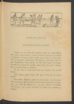 Capítulo XXXVIII - En busca de salvación