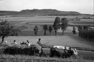 Bopfingen: Landschaft des Ries
