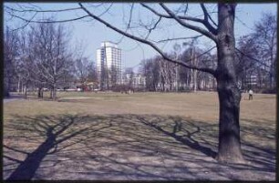 Blick in den Volkspark Wilmersdorf