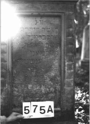 Grabstein 575 (Index: 99900749) Material: Sandstein Zustand: größtenteils stark verwittert Maße HxBxT: 161x60x26 cm Beschreibung: aufgesockelte Stele mit Giebelabschluss, darauf Giebel- und Eckakroterien, Akroterien und Giebelfeld mit eingeritzten Ranken, Voluten und Palmette, Schriftfeld gerahmt von Plattenfries Symbolik: Ranken, Voluten, Palmette, Plattenfries: Grabstein 575A