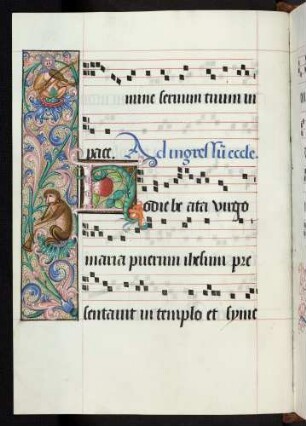 Bordüre, Zierintiale: H(odie beata virgo)