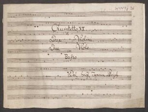 Quintets, vl (2), vla (2), b, BenP 276, a-Moll - Musiksammlung der Grafen zu Toerring-Jettenbach 36 : [b:] Quintetto VI a Due Violini. Due Viole con Baßo. Del Sig|r|e Ignace Pleyel.