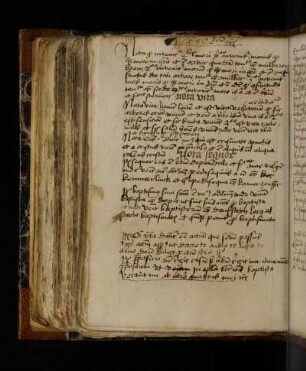 Nota quod invenitur quadruplex mori. Primo modo invenitur morus quod habet morum gratia et est arbor …
