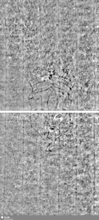 Lilienschild + IESV / LW = S.1/2+5/6