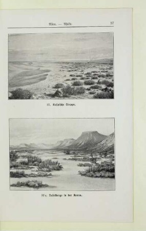 37. Kaspische Steppe