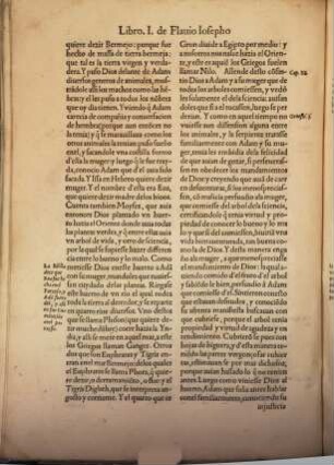 Los veynte libros de las antiquedades judaycas
