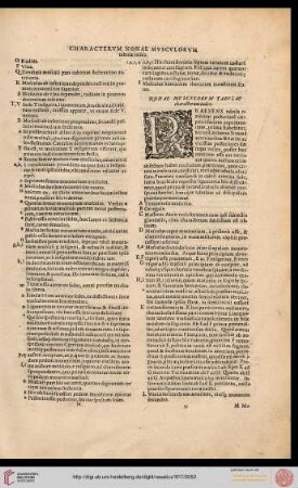 Nonae musculorum tabulae characterum index