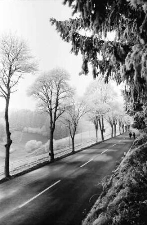 Kappel: Straße Neustadt-Lenzkirch im Raureif