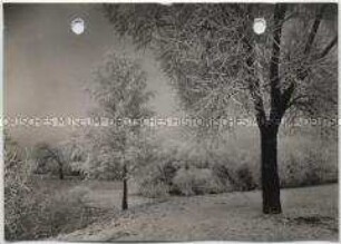 Winterlandschaft, Rauhreif