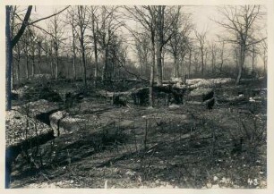 Foto von französischen Gräben im Wald von Ville (-devant-Chaumont)