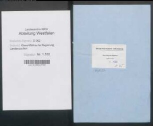 Verwaltung des Kirchenguts, Besoldung des Pastors sowie Kirchen- und Schulbetrieb der lutherischen Gemeinde, Bd. 1