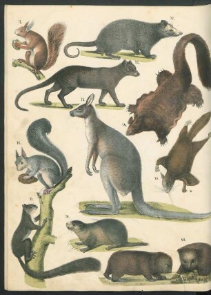 Tafel: [Fig. 71.-96.]